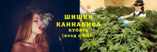 первитин Новокубанск