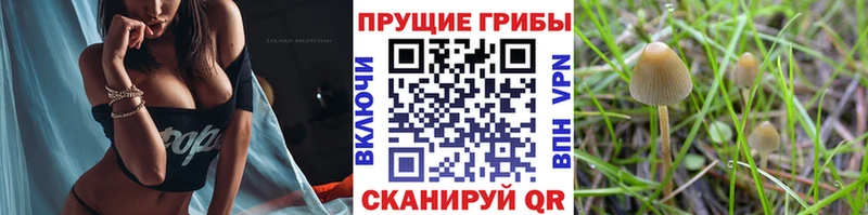 Галлюциногенные грибы Magic Shrooms  Алушта 