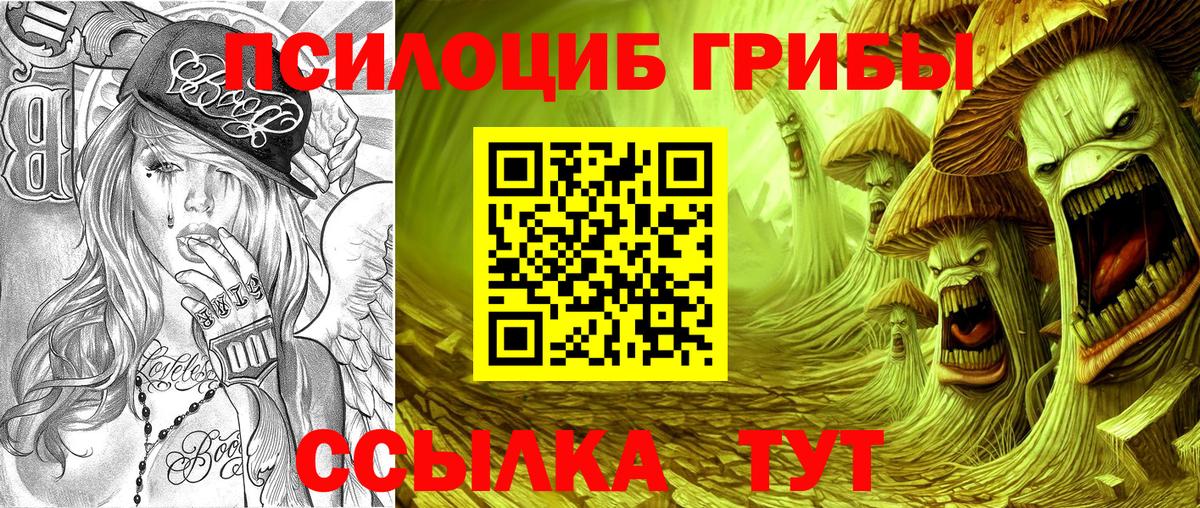 Псилоцибиновые грибы мицелий Алушта